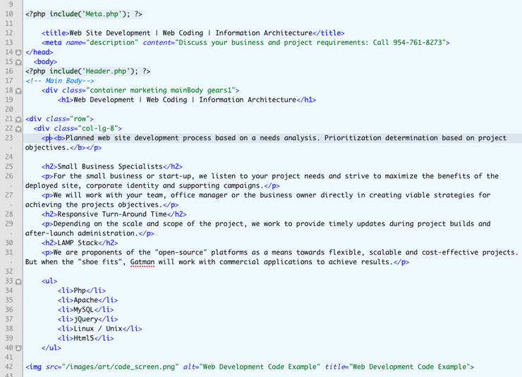 Web Development Code Example