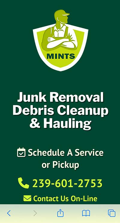 Mobile Web Site | Mints Junk